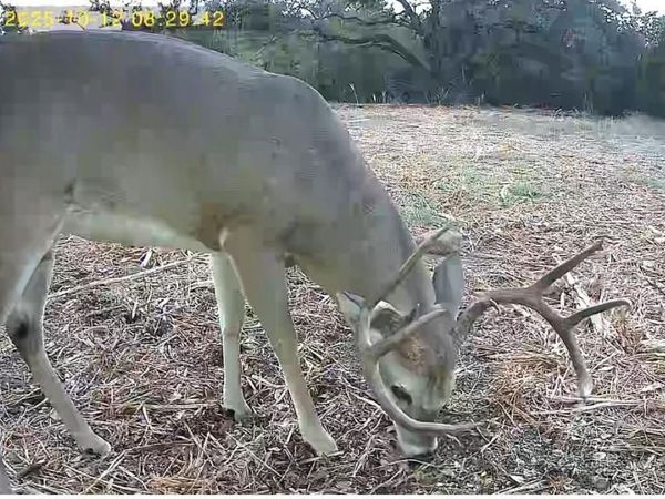 TBD FM 708B, Clifton, TX 76634