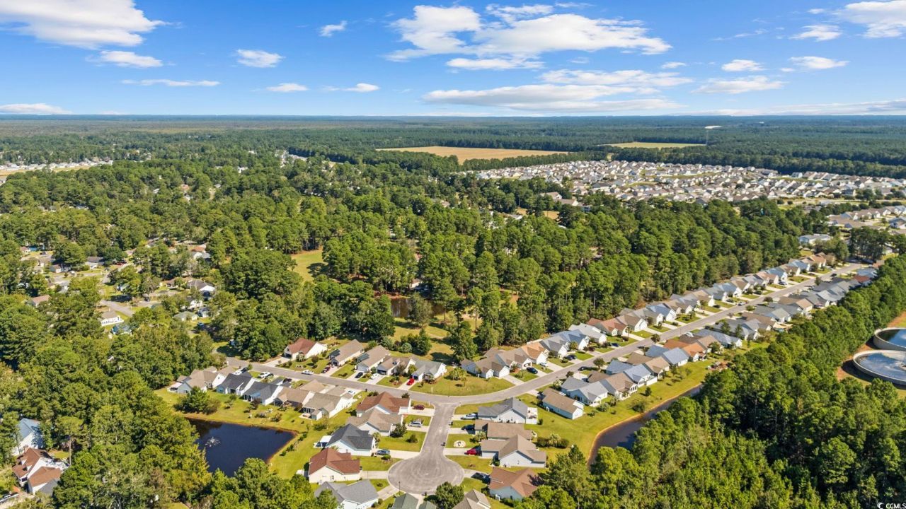 6469 Royal Pine Dr. Photo 39