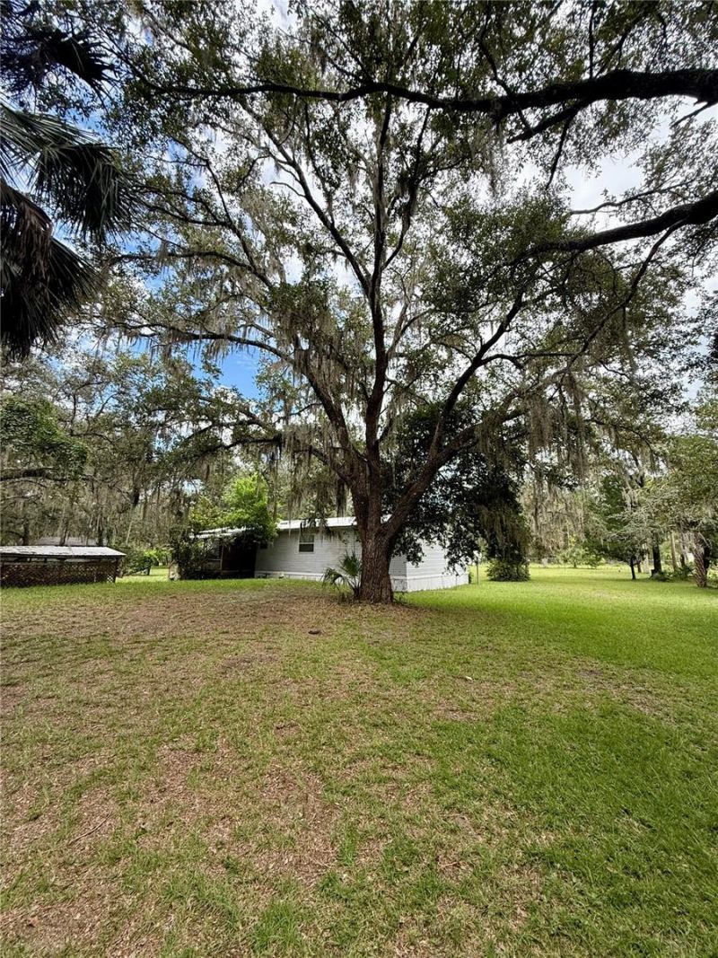 340 Debra Street, Inglis, FL 34449 Photo