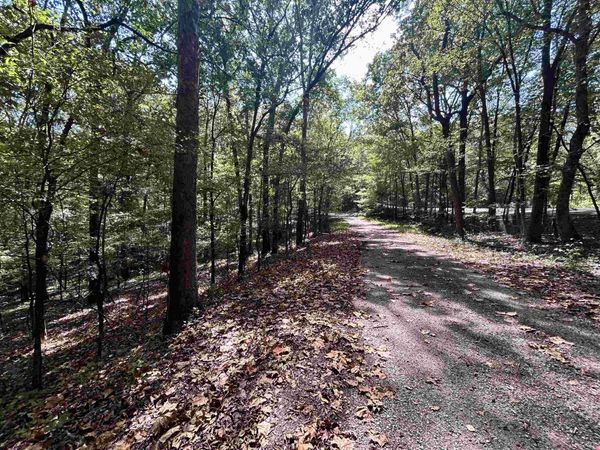 35 & 36 OLD ROGER DR, Middleton, TN 38052