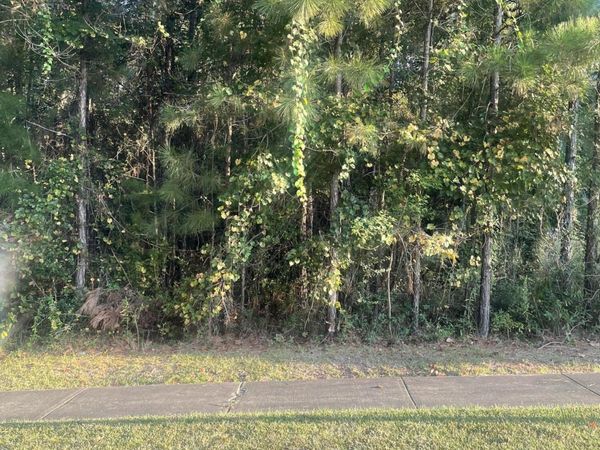 44 Baneberry, Hattiesburg, MS 39402