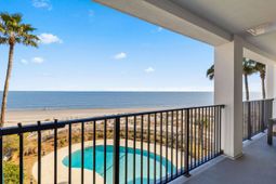 9002 Palmetto Drive photo 4