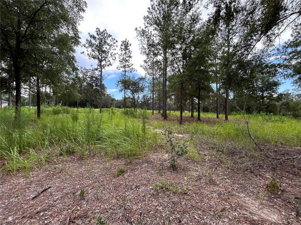 16051 SW 44 STREET, OCALA, FL 34481