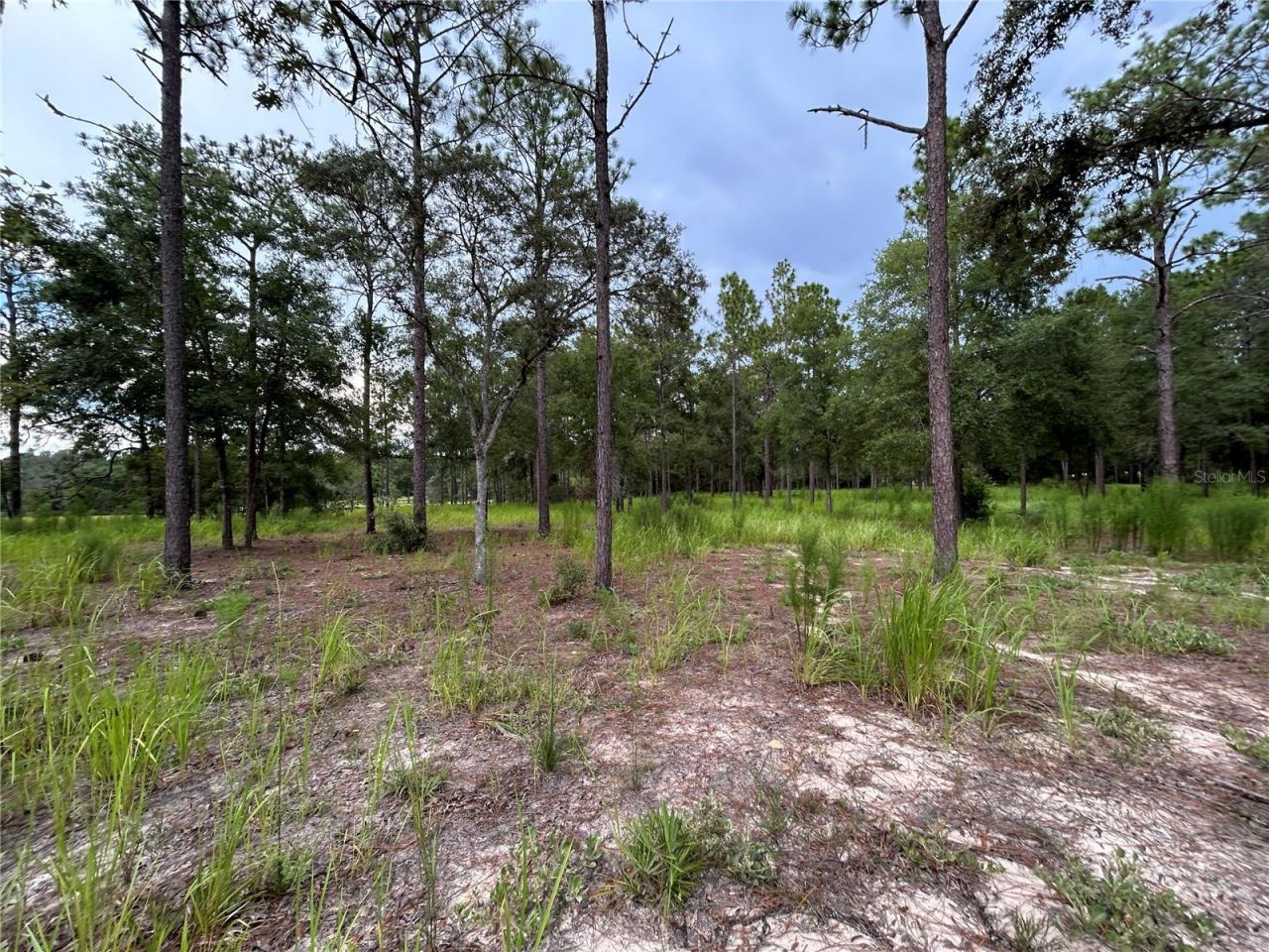 16051 SW 44 Street, Ocala, FL 34481 Photo