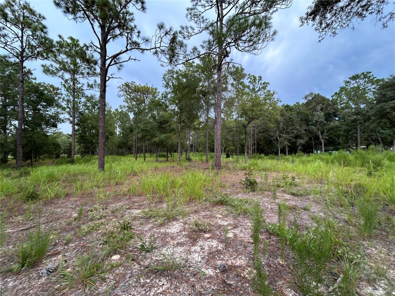 16051 SW 44 Street, Ocala, FL 34481 Photo