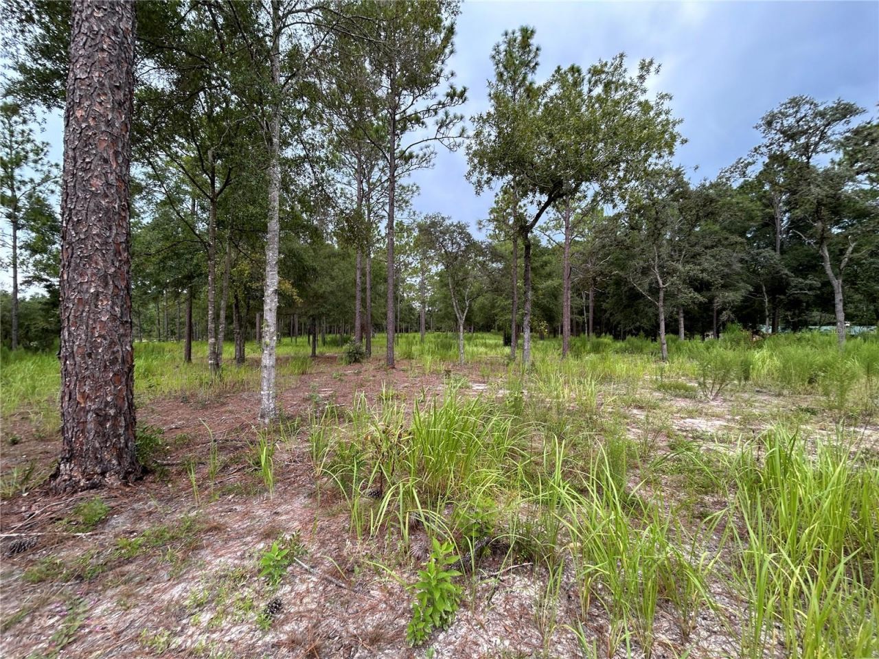 16051 SW 44 Street, Ocala, FL 34481 Photo