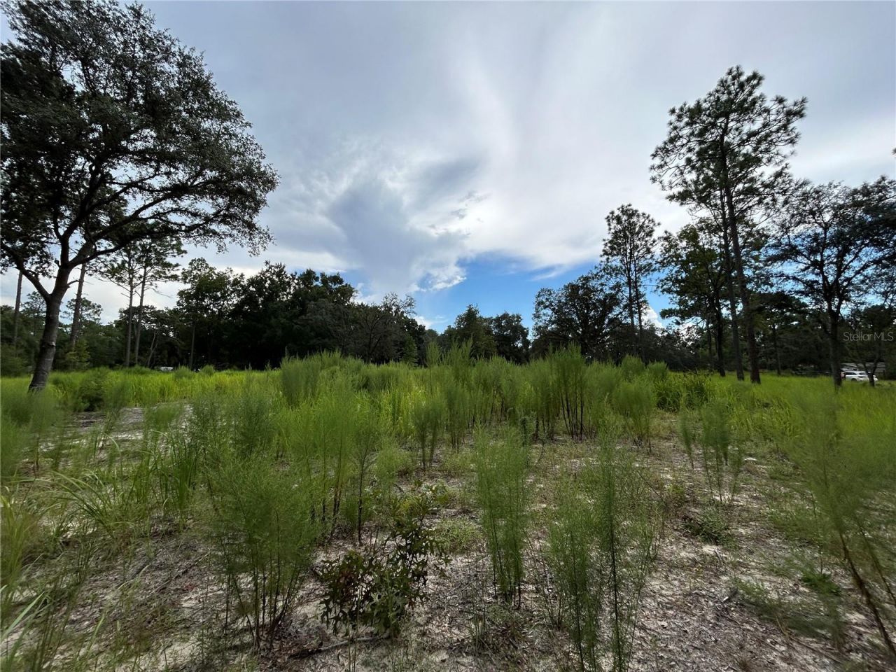 16051 SW 44 Street, Ocala, FL 34481 Photo