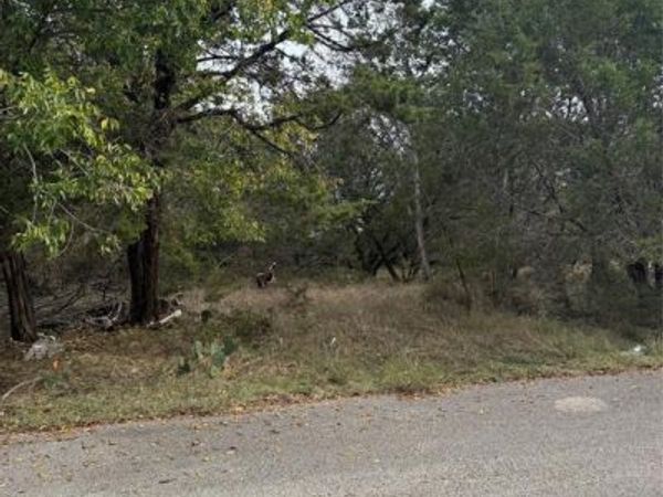 0 Teakwood Lane, Morgans Point Resort, TX 76513