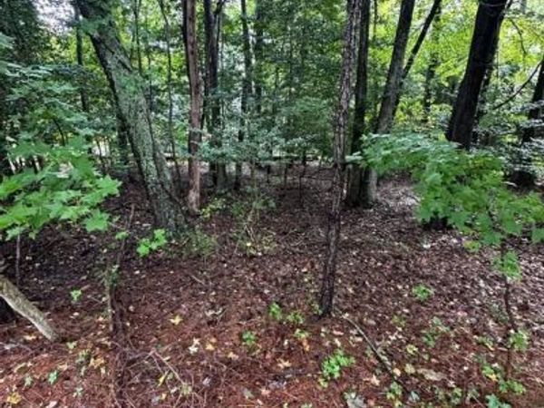 226 CHARLESTON ROAD, OCEAN PINES, MD 21811