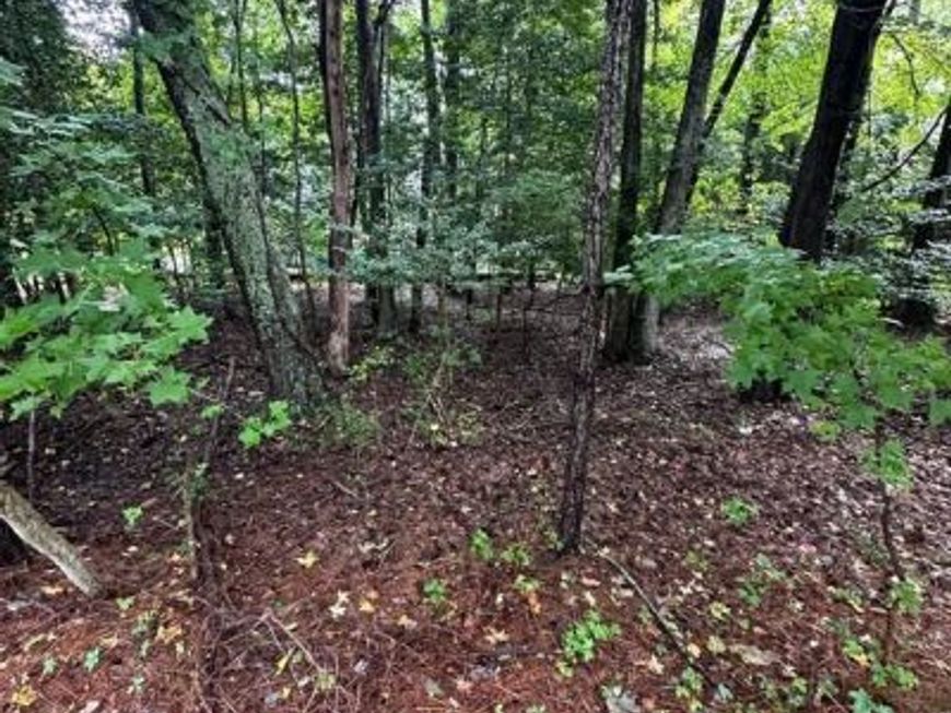 226 Charleston Road, Ocean Pines, MD 21811 Main Photo