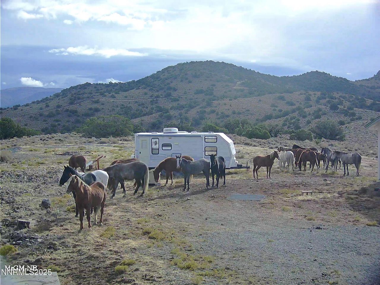 90 Curnow Canyon Road, Reno, NV 89510 Photo