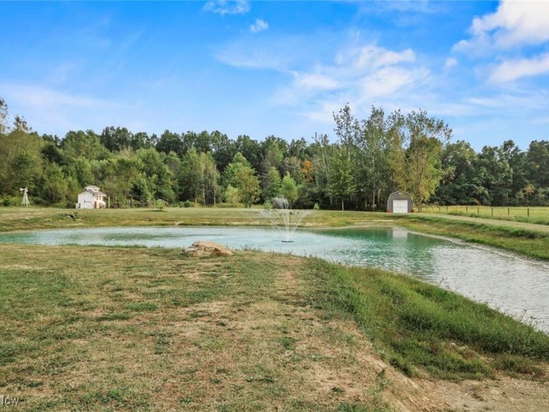 13835 N Palmyra Road, North Jackson, OH 44451 Photo 6