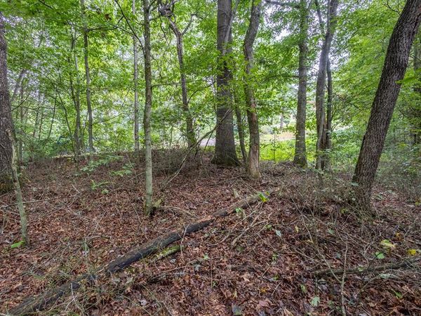 3 AC Chestnut Flats Rd, Andrews, NC 28901