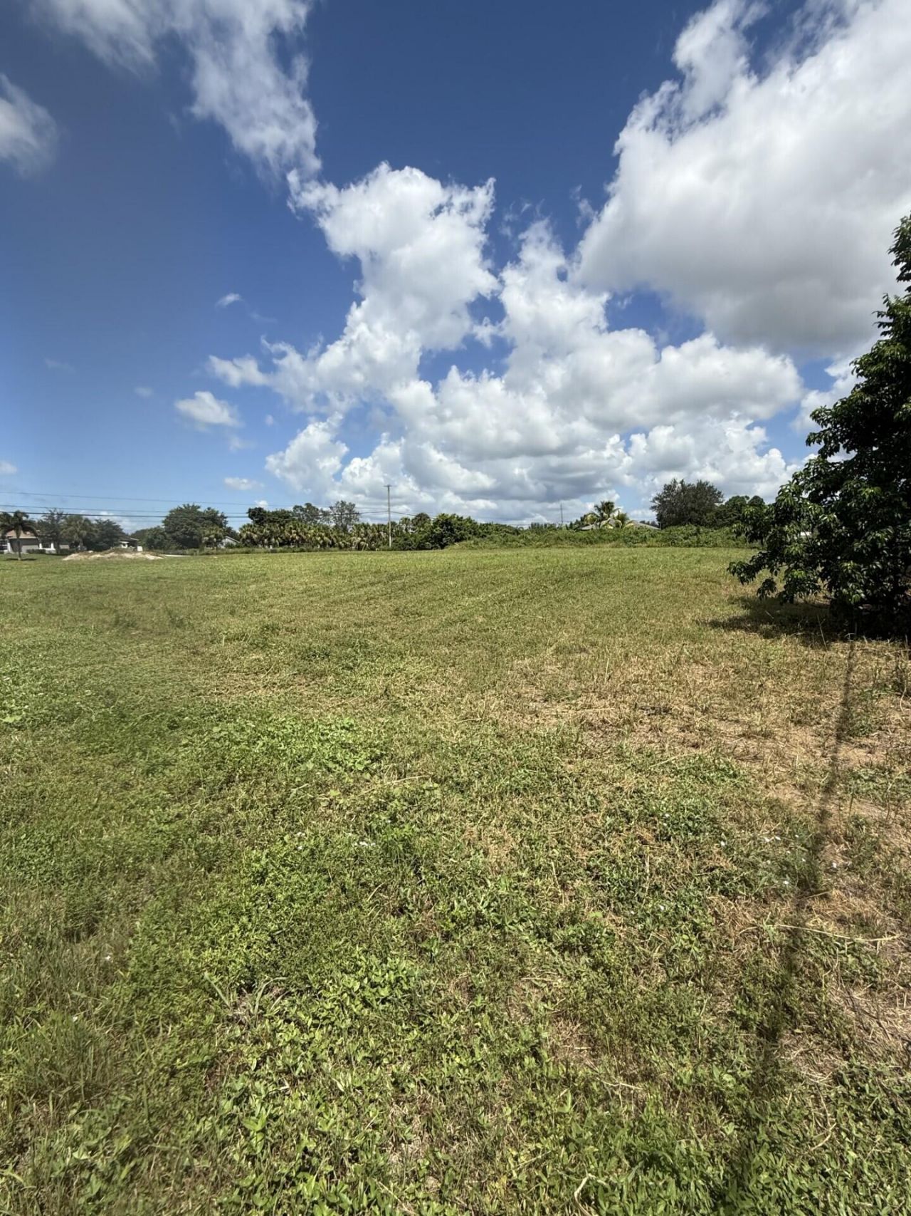 0 0 Mandarin Boulevard, The Acreage, FL 33470 Photo