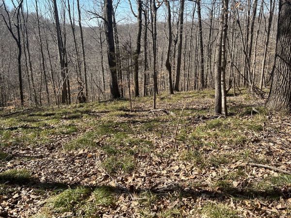352 Kirby Hill Rd, Ashland City, TN 37015