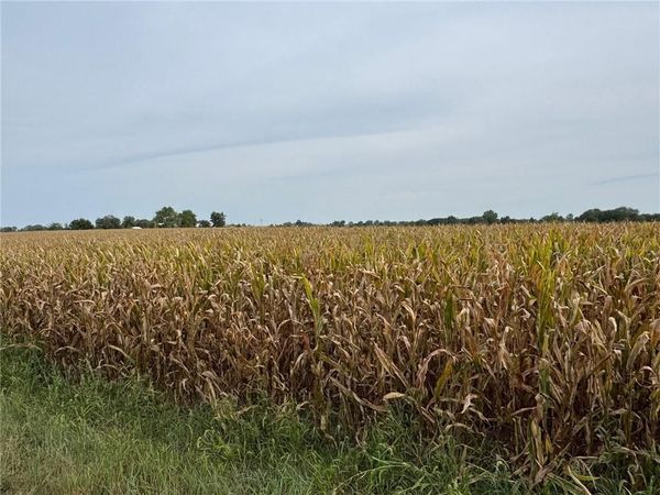 TBD Hwy V Highway, Gallatin, MO 64640