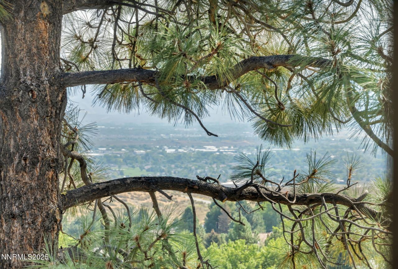 4223 Timberline Drive, Carson City, NV 89703 Photo