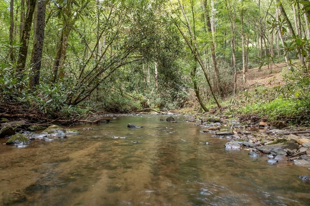 1034 Chestnut Flats Road, Andrews, NC 28901 Main Photo