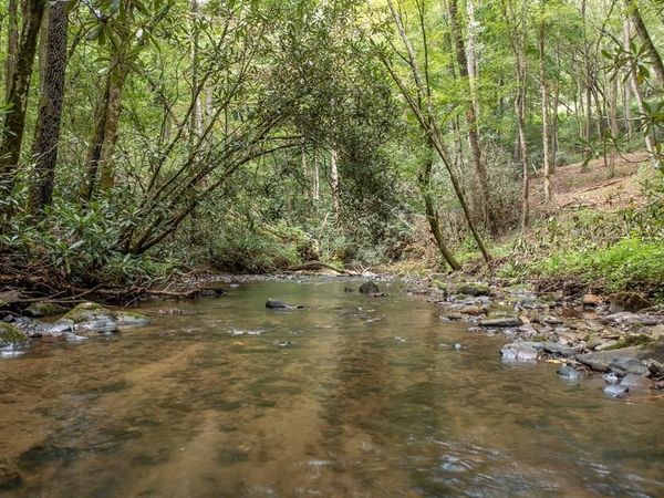 1034 Chestnut Flats Road, Andrews, NC 28901