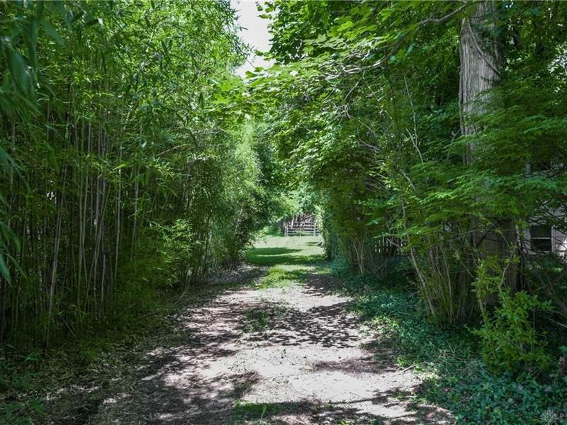 117 Allen Street, Yellow Springs, OH 45387 Photo 25