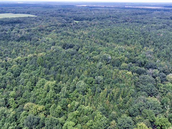 00 Pheba-Beasley Road, Pheba, MS 39755