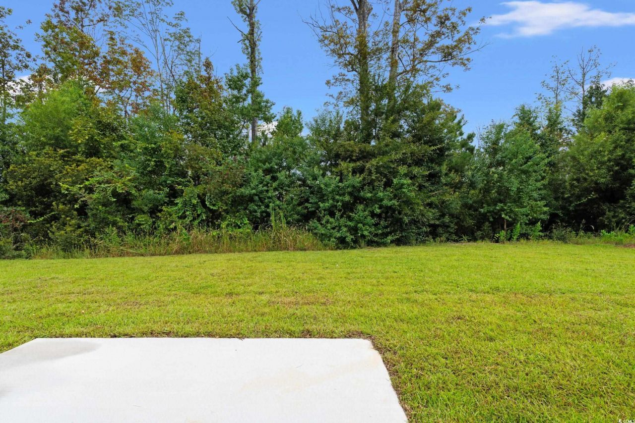 2827 Biscane Ct. Photo 25