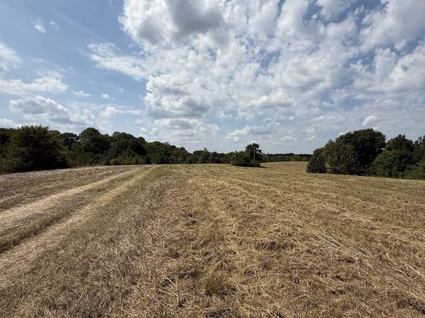 225 TEAGUE RD, Toone, TN 38381