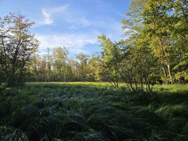 Nute Road, Madbury, NH 03023