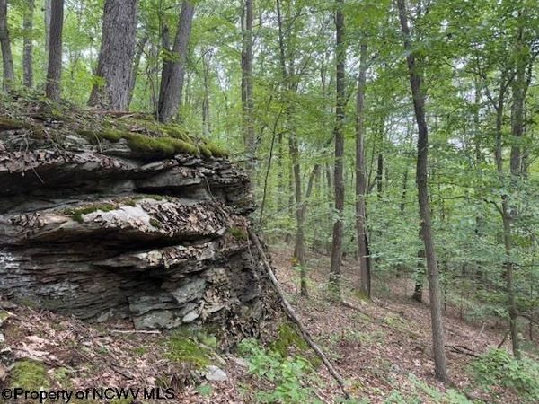 TBD Simpson Road, Belington, WV 26250