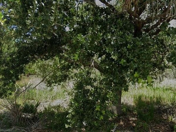 927 Grafton ST, LEHIGH ACRES, FL 33974