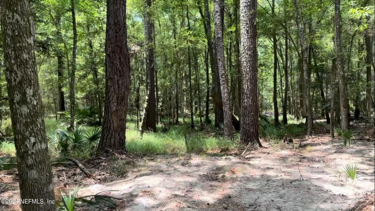 Lot 1 Us Hwy 301, Bryceville, FL 32209 Photo