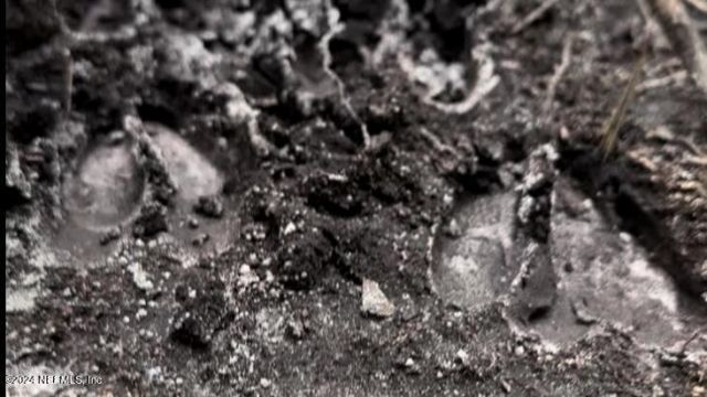 Lot 1 Us Hwy 301, Bryceville, FL 32209 Photo