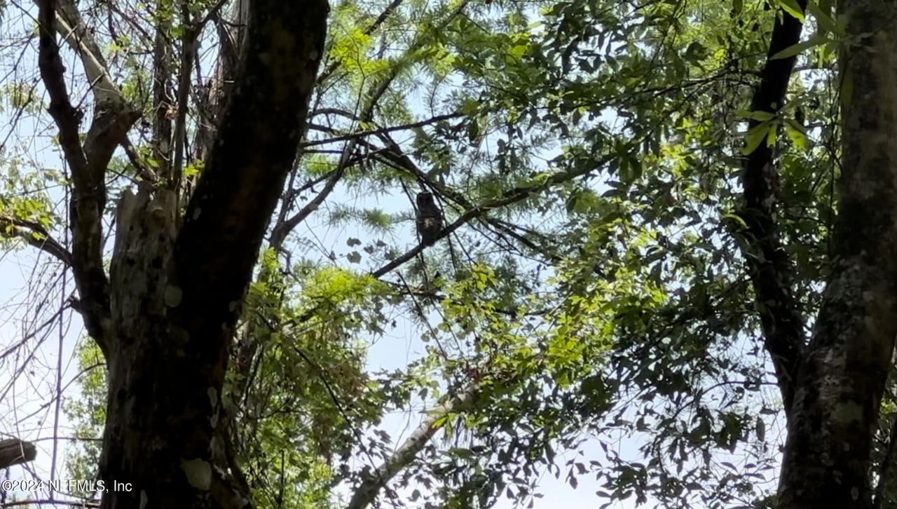 Lot 1 Us Hwy 301, Bryceville, FL 32209 Photo