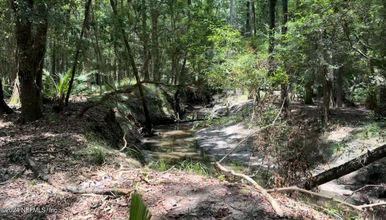 Lot 1 Us Hwy 301, Bryceville, FL 32209 Photo