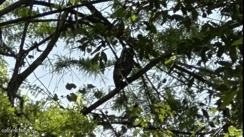 Lot 1 Us Hwy 301, Bryceville, FL 32209 Photo