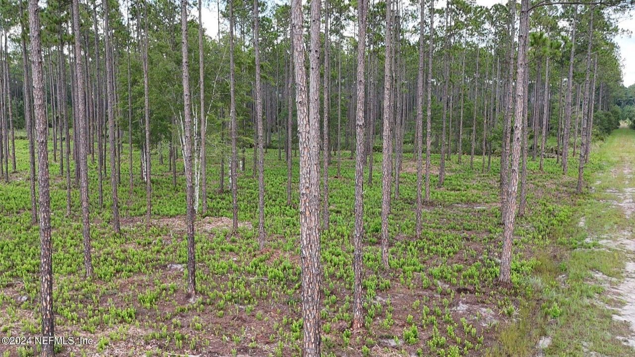 Lot 3 Us Hwy 301, Bryceville, FL 32009 Photo