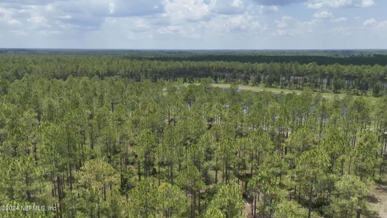 Lot 2 Us Hwy 301, Bryceville, FL 32009 Photo