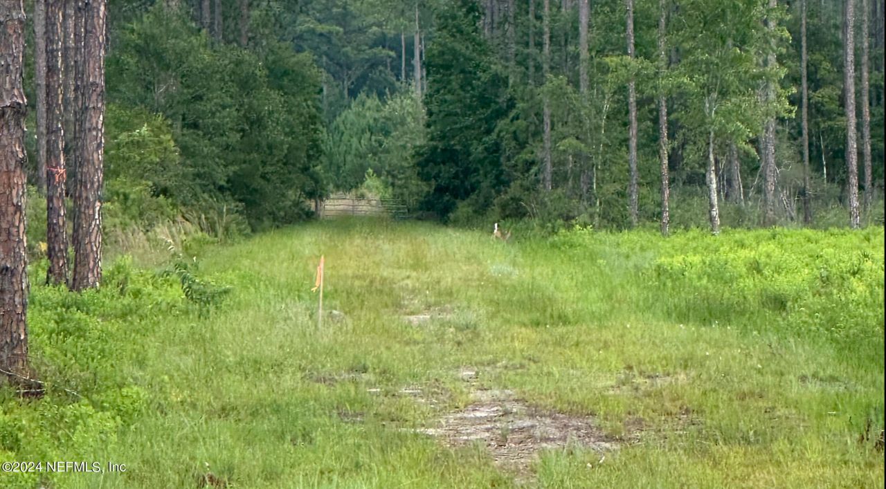 Lot 2 Us Hwy 301, Bryceville, FL 32009 Photo