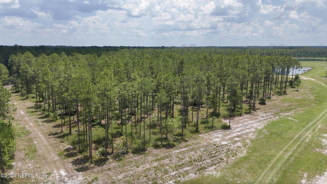 Lot 2 Us Hwy 301, Bryceville, FL 32009 Photo