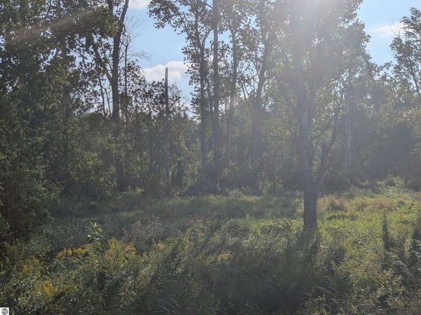 Andrews Road, Tawas City, MI 48763