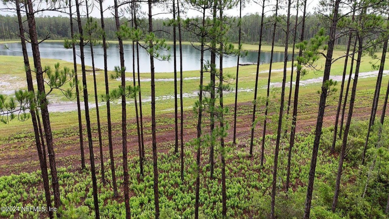 Lot 4 Us Hwy 301, Jacksonville, FL 32011 Photo