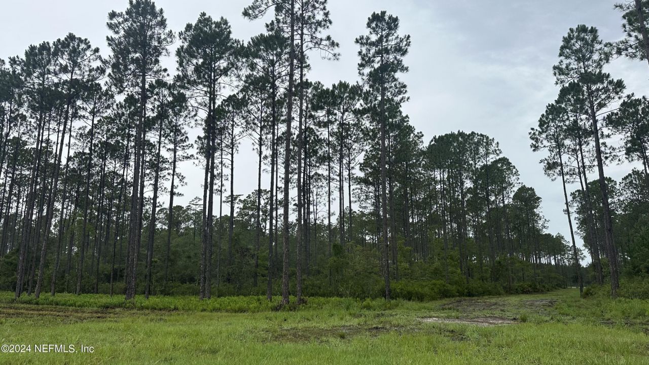 Lot 4 Us Hwy 301, Jacksonville, FL 32011 Photo