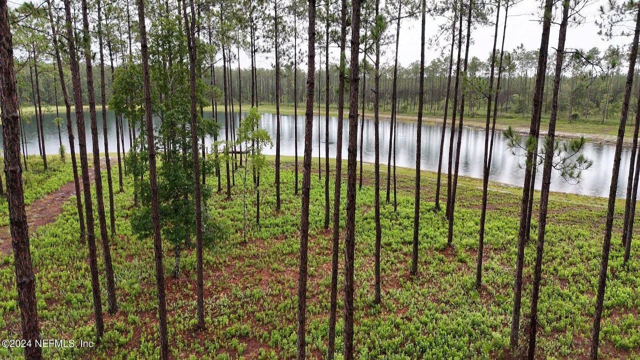 Lot 5 NE Us Hwy 301, Jacksonville, FL 32234 Photo