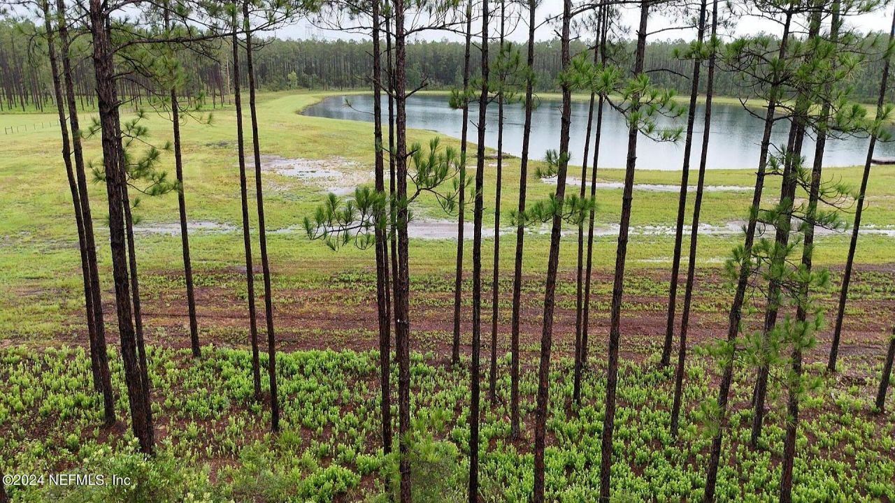 Lot 5 NE Us Hwy 301, Jacksonville, FL 32234 Photo