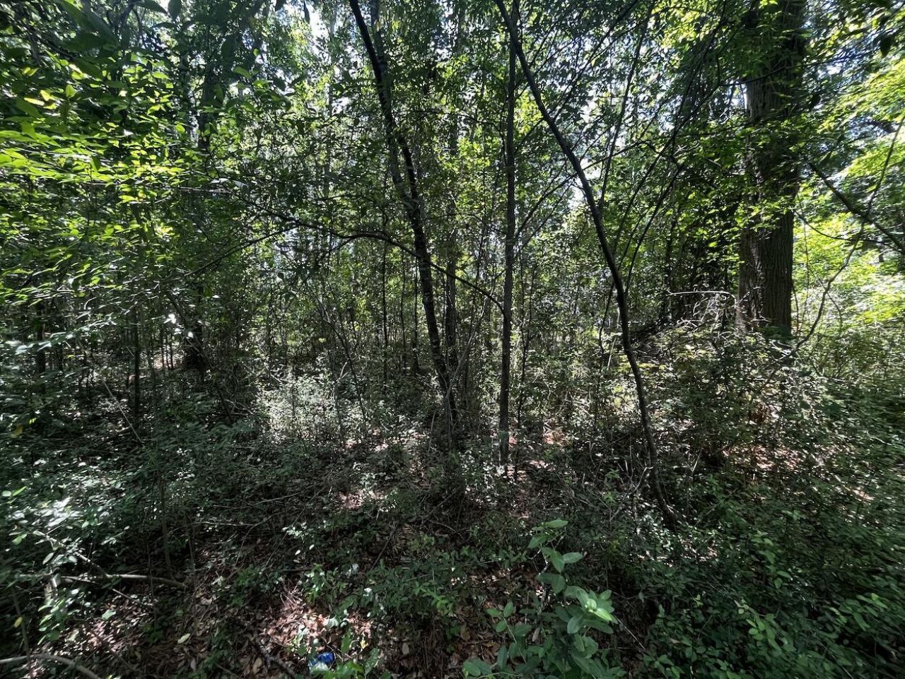 0 Bells Highway Photo 4