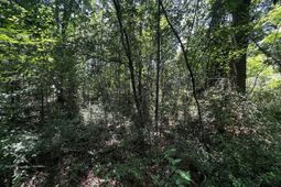 0 Bells Highway photo 4