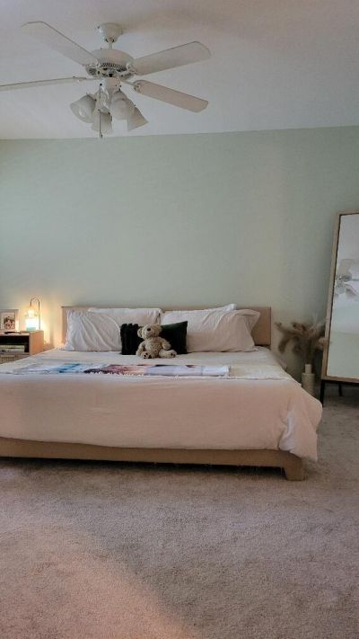 700 Daniel Ellis Drive Photo 11