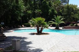 700 Daniel Ellis Drive photo 4