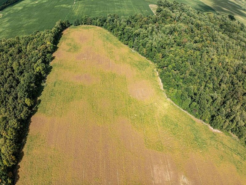 0 Parsons Road, Croton, OH 43013 Photo 12