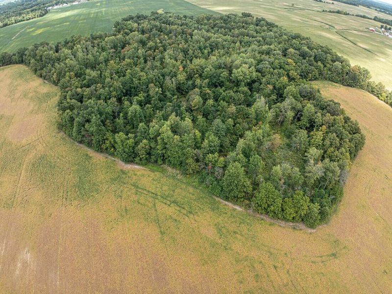 0 Parsons Road, Croton, OH 43013 Photo 5